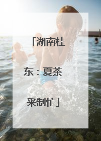湖南桂东：夏茶采制忙