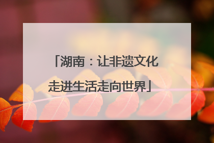 湖南：让非遗文化走进生活走向世界