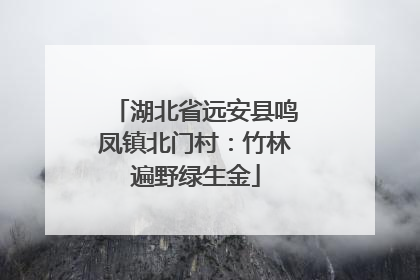 湖北省远安县鸣凤镇北门村：竹林遍野绿生金