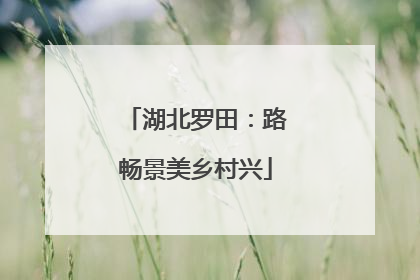 湖北罗田：路畅景美乡村兴