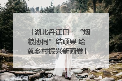 湖北丹江口：“烟粮协同”结硕果 绘就乡村振兴新画卷