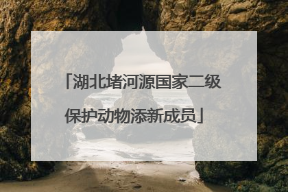 湖北堵河源国家二级保护动物添新成员