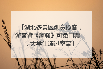 湖北多景区创意揽客，游客背《离骚》可免门票，大学生通过率高