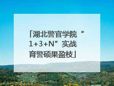 湖北警官学院“1+3+N”实战育警硕果盈枝