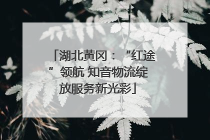 湖北黄冈：“红途”领航 知音物流绽放服务新光彩