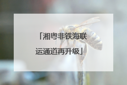 湘粤非铁海联运通道再升级