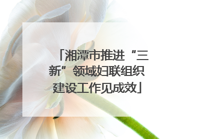 湘潭市推进“三新”领域妇联组织建设工作见成效