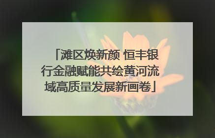 滩区焕新颜 恒丰银行金融赋能共绘黄河流域高质量发展新画卷
