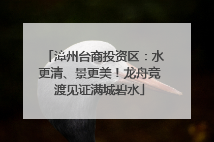 漳州台商投资区：水更清、景更美！龙舟竞渡见证满城碧水