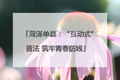 菏泽单县：“互动式”普法 筑牢青春防线