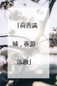 荷香满城，夜游添趣