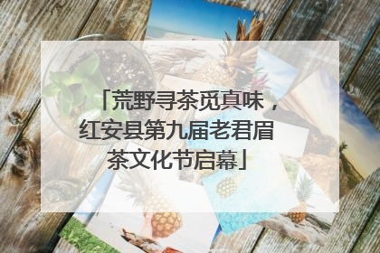 荒野寻茶觅真味，红安县第九届老君眉茶文化节启幕