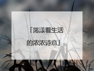 荡漾着生活的浓浓诗意