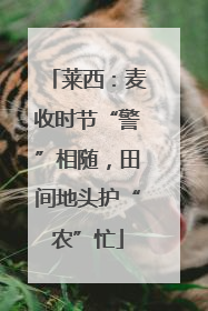 莱西：麦收时节“警”相随，田间地头护“农”忙