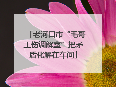 老河口市“毛哥工伤调解室”把矛盾化解在车间