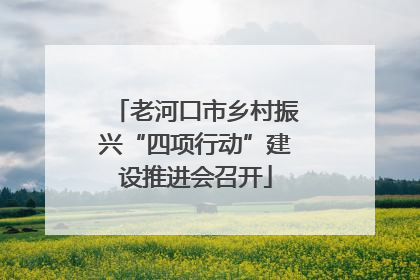 老河口市乡村振兴“四项行动”建设推进会召开