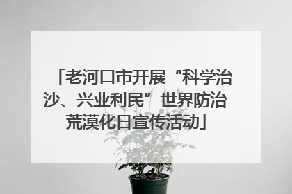 老河口市开展“科学治沙、兴业利民”世界防治荒漠化日宣传活动