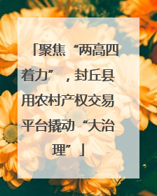 聚焦“两高四着力”，封丘县用农村产权交易平台撬动“大治理”
