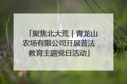 聚焦北大荒｜青龙山农场有限公司开展普法教育主题党日活动