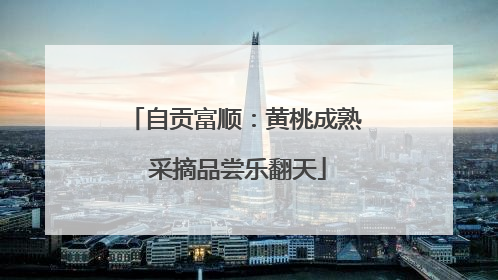 自贡富顺：黄桃成熟 采摘品尝乐翻天