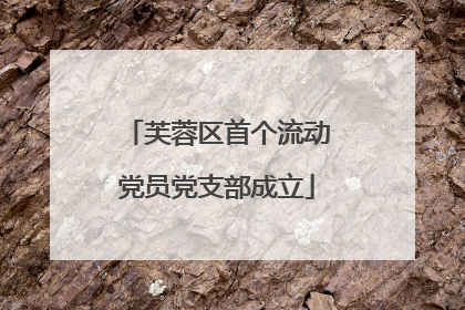 芙蓉区首个流动党员党支部成立