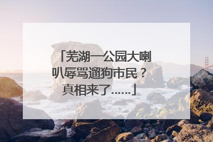 芜湖一公园大喇叭辱骂遛狗市民？真相来了……