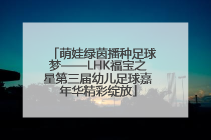 萌娃绿茵播种足球梦——LHK福宝之星第三届幼儿足球嘉年华精彩绽放