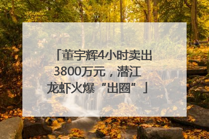 董宇辉4小时卖出3800万元，潜江龙虾火爆“出圈”