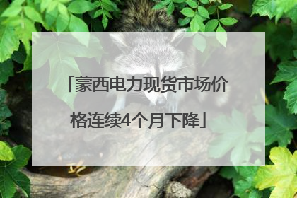 蒙西电力现货市场价格连续4个月下降
