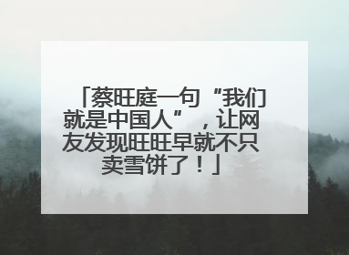 蔡旺庭一句“我们就是中国人”,让网友发现旺旺早就不只卖雪饼了!