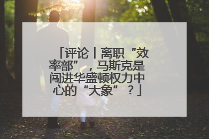 评论丨离职“效率部”，马斯克是闯进华盛顿权力中心的“大象”？