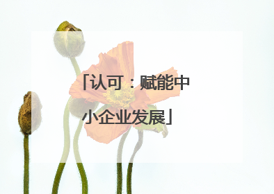 认可：赋能中小企业发展