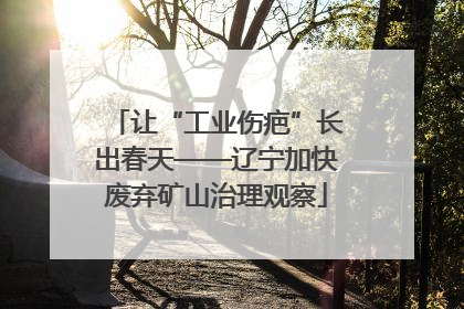 让“工业伤疤”长出春天——辽宁加快废弃矿山治理观察