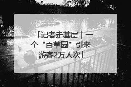 记者走基层｜一个“百草园”引来游客2万人次