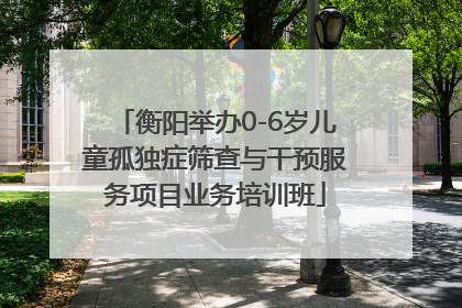 衡阳举办0-6岁儿童孤独症筛查与干预服务项目业务培训班
