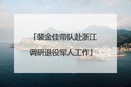 裴金佳带队赴浙江调研退役军人工作
