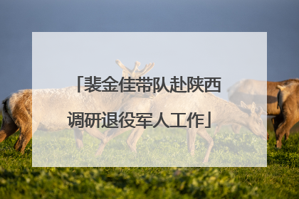 裴金佳带队赴陕西调研退役军人工作