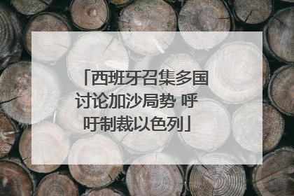 西班牙召集多国讨论加沙局势 呼吁制裁以色列
