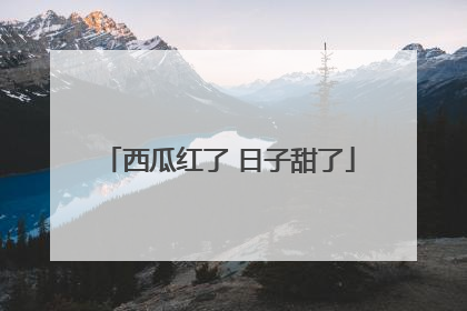 西瓜红了 日子甜了