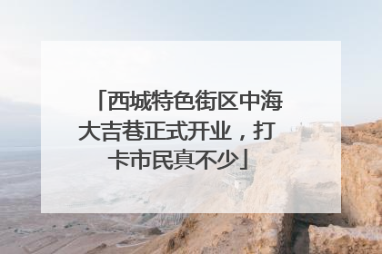 西城特色街区中海大吉巷正式开业，打卡市民真不少