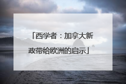 西学者：加拿大新政带给欧洲的启示