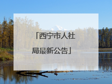 西宁市人社局最新公告