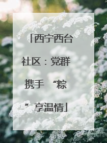 西宁西台社区：党群携手 “粽”享温情