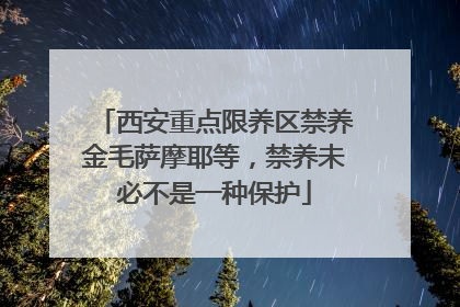 西安重点限养区禁养金毛萨摩耶等，禁养未必不是一种保护