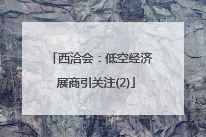 西洽会：低空经济展商引关注(2)