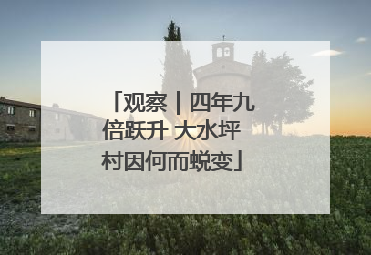 观察｜四年九倍跃升 大水坪村因何而蜕变