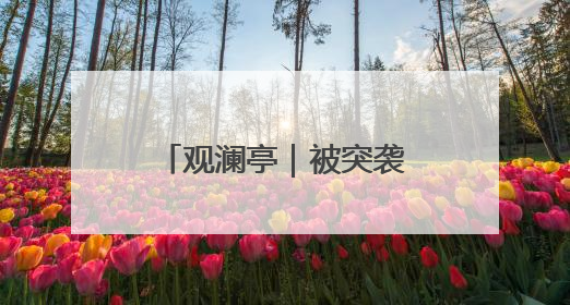 观澜亭｜被突袭的伊朗，中了美以的“双簧计”？