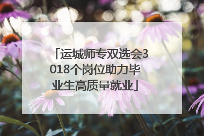 运城师专双选会3018个岗位助力毕业生高质量就业