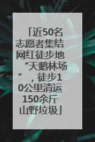 近50名志愿者集结网红徒步地“天鹅林场”，徒步10公里清运150余斤山野垃圾