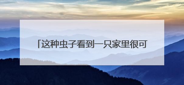 这种虫子看到一只家里很可能有一万只，除虫攻略→